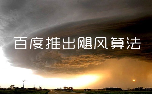 面對颶風(fēng)算法，站長應(yīng)該如何面對？
